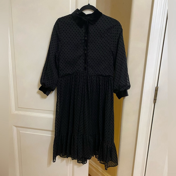 ZARA Swiss Dot Sheer dress - Picture 4 of 4